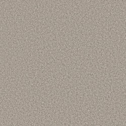 Dawn Beige