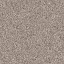 Pale Ecru color swatch