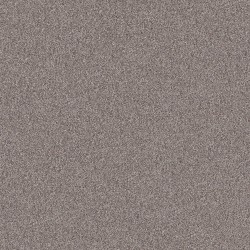 French Buff color swatch