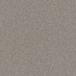Lunar Surface