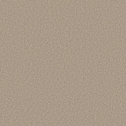 Affirmation II - Loft Light