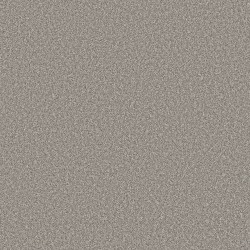 Lunar Surface