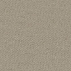 Studio Taupe