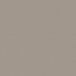 Studio Taupe