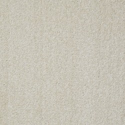 Plaster