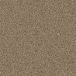 Bridle Leather