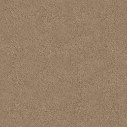 Basic Tan