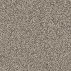 Pashmina