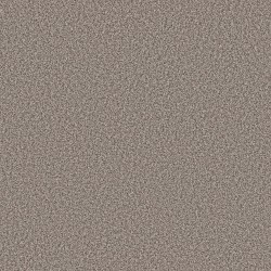 Chic Taupe