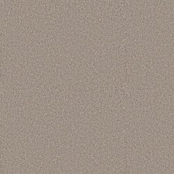 Dawn Beige