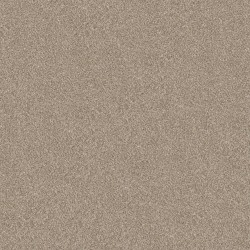 Elevated III - Soft Sand