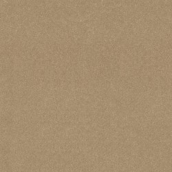 Tuscan Sun