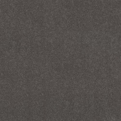 Iron