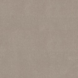 Biscotti color swatch