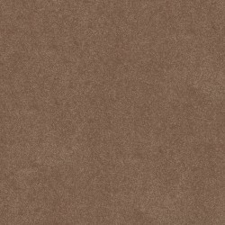 Bungalow color swatch
