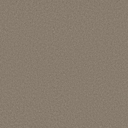 Plaza Taupe