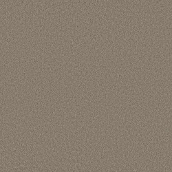 Plaza Taupe