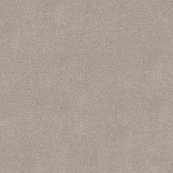 Chic Taupe
