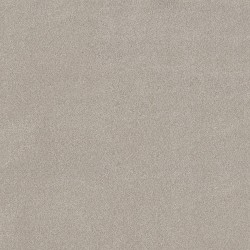 Beige Mist