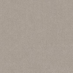 Chic Taupe