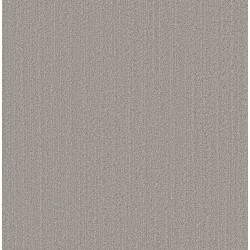 Platinum color swatch