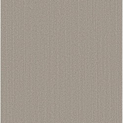 Warm Taupe color swatch