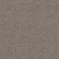 Dove Feather color swatch