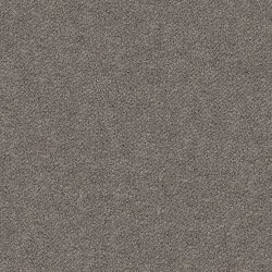 Oyster color swatch
