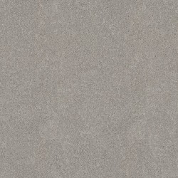 SILVER MIST