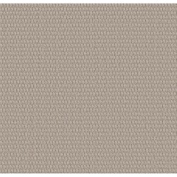 Blissful Beige