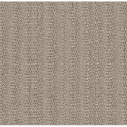 Warm Taupe