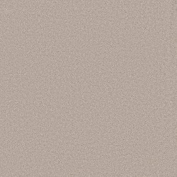 Venetian Plaster