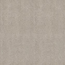 Raw Silk