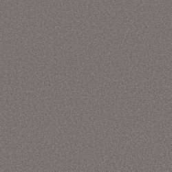 Gray Granite