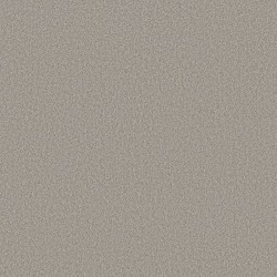 Still Gray