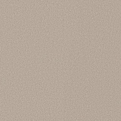 Beige Mist