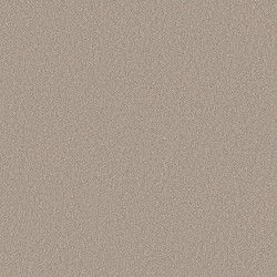 Chic Taupe