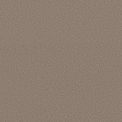 Mocha