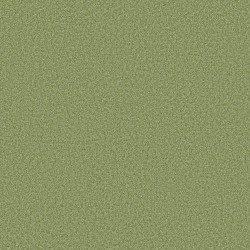 Four Leaf Clover