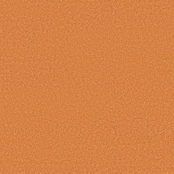 Orange You Glad