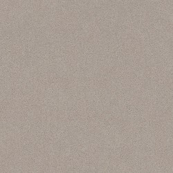 Chic Taupe color swatch