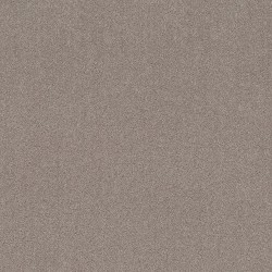 Mocha color swatch