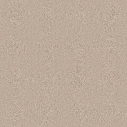 Satin Shimmer color swatch