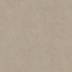 PRACTICAL BEIGE