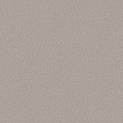 Masterpiece II - Desert Light