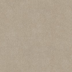 Practical Beige