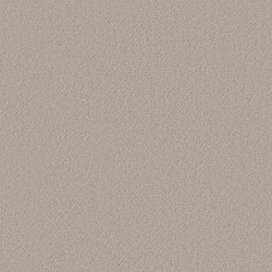 Fringe color swatch