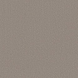 Suede color swatch