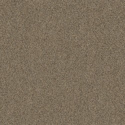 Nomad color swatch