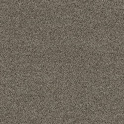 Spice color swatch